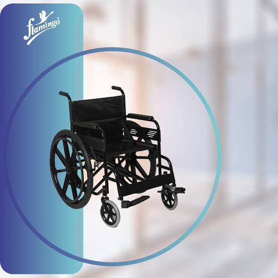 Wheelchair Flemingo