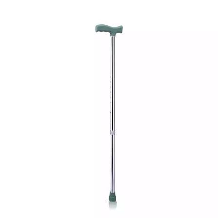 Walking stick single